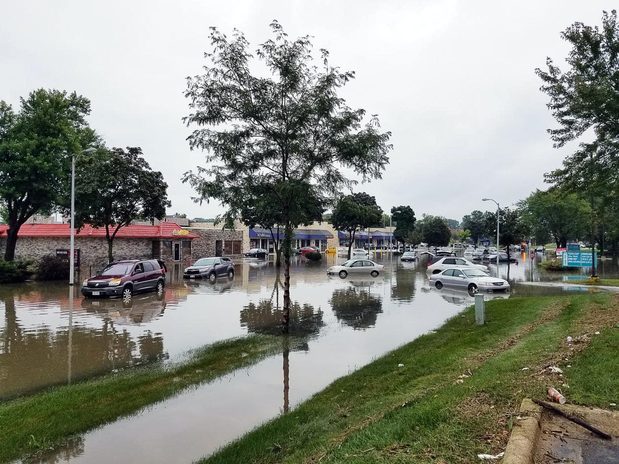 Uważaj na sprowadzane pojazdy – mogą pochodzić z powodzi!